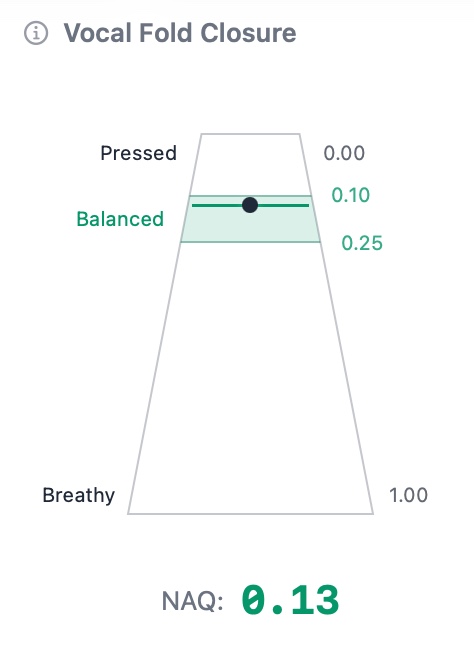 Vocal Fold Closure